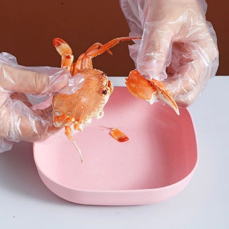 Plate Set Pack of 10 – Plastic Split Bone Dish Plates with Holder |